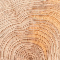 Filipeno Exclusive Incense